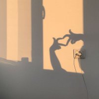 🥀 (@ladamezahra) 's Twitter Profile