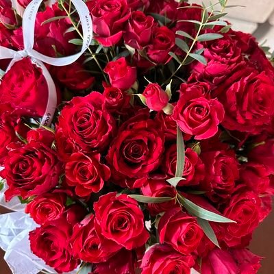 aaaldana6's profile picture. #Netfreedom ★ Bienvenid@ You're Welcome! .·. I wish u one year full of freedom, knowledge, health, fraternity and wealth!