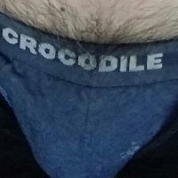 Dewa69 (@alwaneri552) 's Twitter Profile