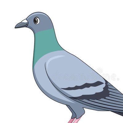 pigeonxphoenix Profile Picture