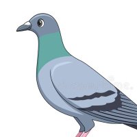 PXP (@pigeonxphoenix) 's Twitter Profile Photo PXP (@pigeonxphoenix) 's Twitter Profile Photo