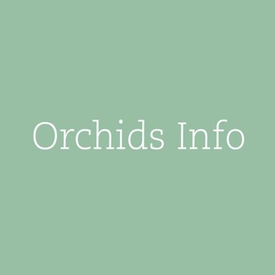 Welkom bij OrchidsInfo, het platform voor ideeën en inspiratie met orchideeën!  Voor meer informatie bezoek onze webiste - https://t.co/0t3PAdniW5