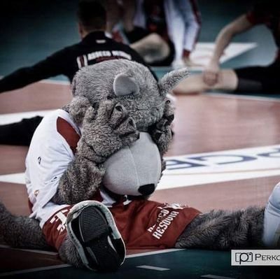 #Asseco Resovia🤍❤️
#janniarycontent ⛓️🖤⛓️
#gangłysego 🏐
#gangsoviaka
#plusliga🏐