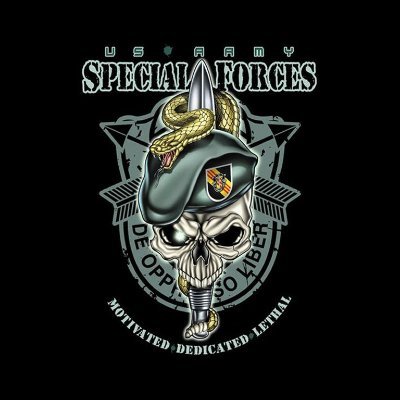 c_sec73's profile picture. Make World Great Again (MAGA, MEGA)

Cyber Security expert. Manager, architect, engineer.
Escape from Tarkov player. America's Army Game veteran.