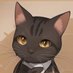 カルビネコ🐈️ (@nekoinu_suki) Twitter profile photo カルビネコ🐈️ (@nekoinu_suki) Twitter profile photo