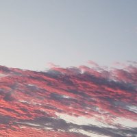 めい (@dosukoi_monaka) 's Twitter Profile
