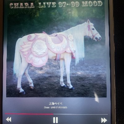 Starry08131's profile picture. Instagram：https://t.co/ydEeedvZ3Y
TikTok：https://t.co/7zEG4enilZ
note：https://t.co/Q1O8RmtzUj