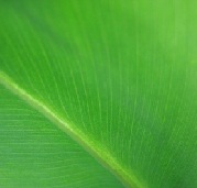 artax7's profile picture. 