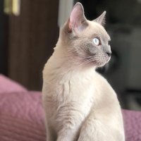 Erkan (@ugras_erkan) Twitter profile photo