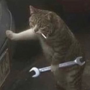 jose_grivas02's profile picture. Fico UGR