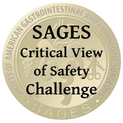 A global challenge to bring together surgical and computer science communities
Hosted by SAGES
Email us at info@cvschallenge.org to get involved!