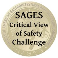 SAGES CVS Challenge(@theCVSchallenge) 's Twitter Profile Photo