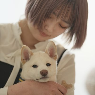 2022年11月生まれ
白柴犬のうめこです