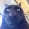jojii789's profile picture. 