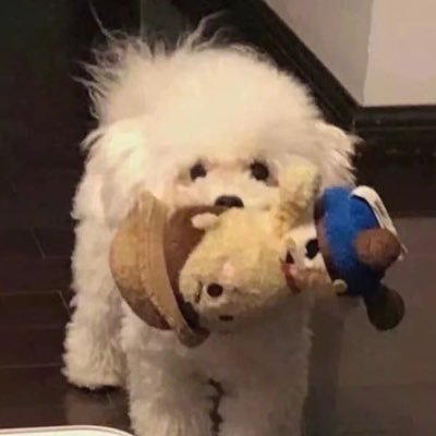 lnn945's profile picture. 🖤🤍