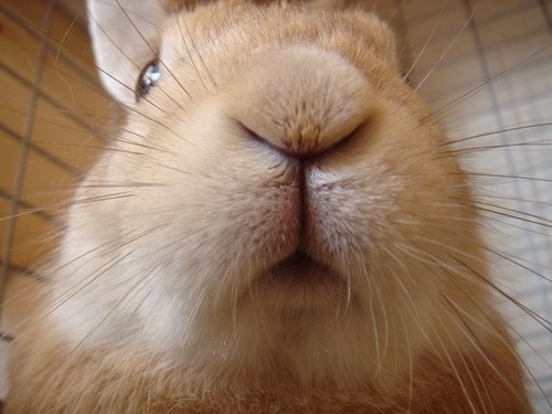 Higu1027's profile picture. 