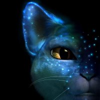 Yuliia Repetska❤️ Memecoin (@mayathecattt) 's Twitter Profile
