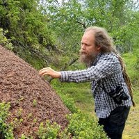 Heikki Helanterä (@heikkihelantera) 's Twitter Profile