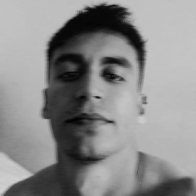 lucas_maltese's profile picture. .