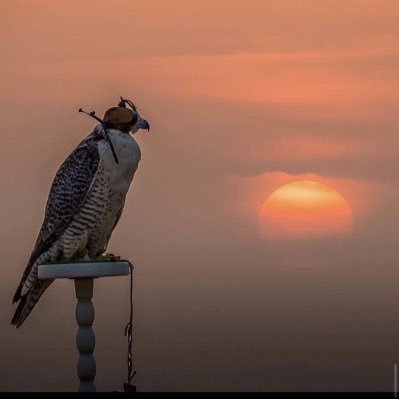 الحمد لله على هدوء الذات