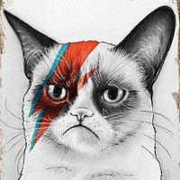 ©Psikopat Kedi® (@psikopatkediniz) Twitter profile photo
