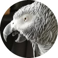 Mr_Kiter (@mr__kiter) 's Twitter Profile
