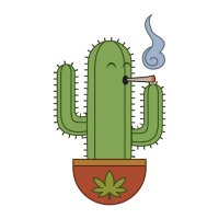 Cannabis Cactus(@CannabisCactus) 's Twitter Profile Photo