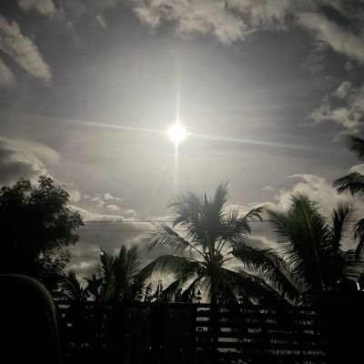 velak90's profile picture. 