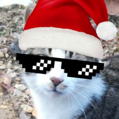 nullpointer6000's profile picture. Aggressive Crypto Investor 
YouTube partner