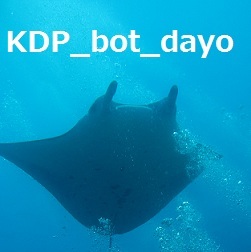 KDP_bot_dayo's profile picture. KDP(keio skin&scuba diving party)のbotです！部員(OB含む)の口癖、言いそうなこと、ドンドンつぶやいてきます☆追加してほしいフレーズはリプやDMで随時募集中！どいつもこいつもフォロミー＆Have a Nice Dive!!!!!