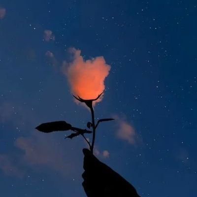 A_Vault0's profile picture. 