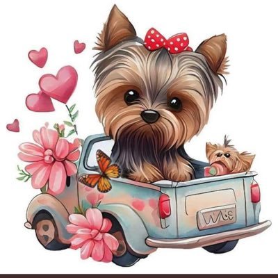 ✵💜✈🕊✵Viveydejavivir ✵ fiel a mis principios💜🕊✵Carpe Diem ❤️