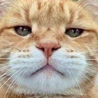 Desir (@lecomptegasby) 's Twitter Profile