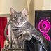 Finch (@finchfrys_) Twitter profile photo Finch (@finchfrys_) Twitter profile photo