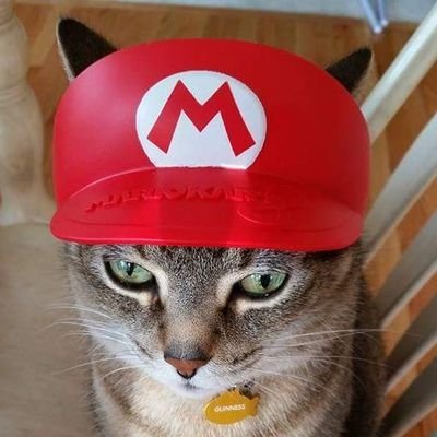 Waffle2T0's profile picture. music