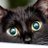 PanterasdeLux's profile image