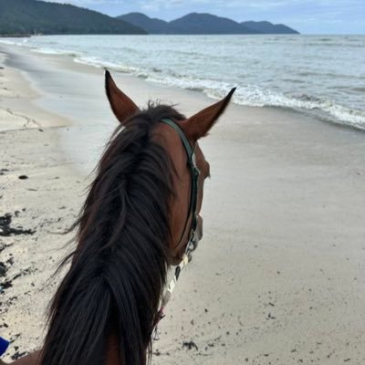 kozam1436's profile picture. التغيير هو الثابت الوحيد.