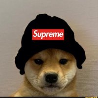 SALTONE (@banclouddaily) 's Twitter Profile Photo