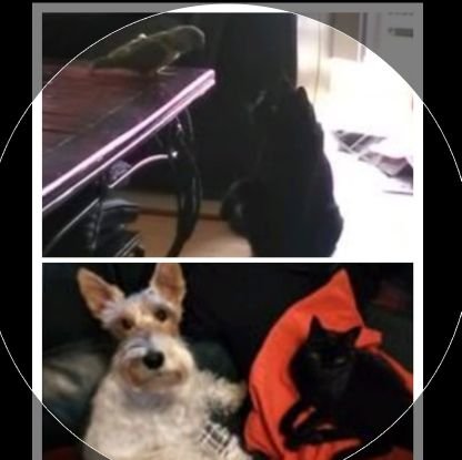 VeerasawmyNath1's profile picture. 