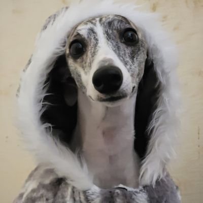 sclor15's profile picture. 