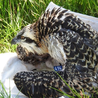 Kezia47's profile picture. 