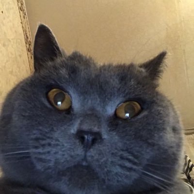 I'm a frontend developer specialized in Vue.js, UX/UI-design, WordPress engine, make pixel perfect and responsive PSD-to-HTML projects