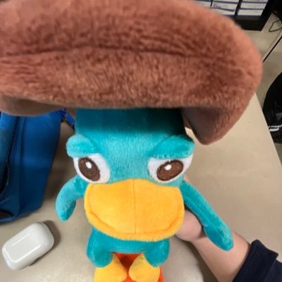 Venusboxs's profile picture. uhhhhh idk