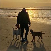 English Gentleman 🏴🇬🇧🇺🇸 (@enggentleman7) 's Twitter Profile