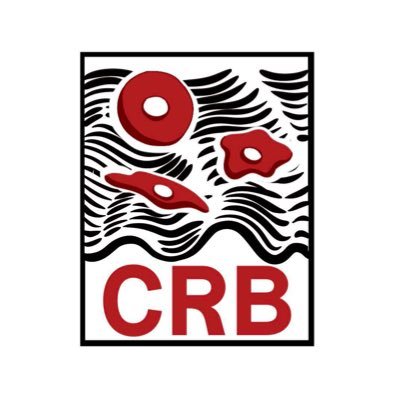 UWMadisonCRB Profile Picture