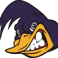 Pittsburgh Lady Roadrunners '09(@09Roadrunners) 's Twitter Profile Photo