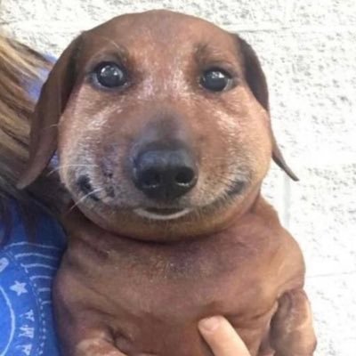 giggleguggle's profile picture. 