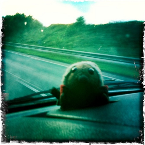 josephrunnacles's profile picture. Poet, Musician, Of Literature Innovation