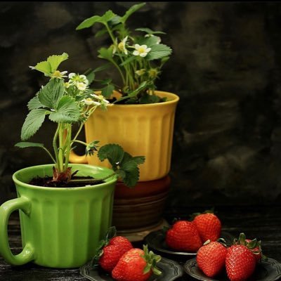 ayanfe_30's profile picture. I'm crazily fun to be with