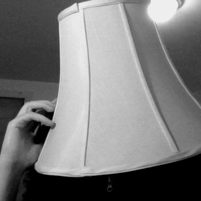 Elementary Library/Learning Commons-aide(ish), grad student, devourer of freshly hewn pasta. Paranoid online persona (see: lampshade).